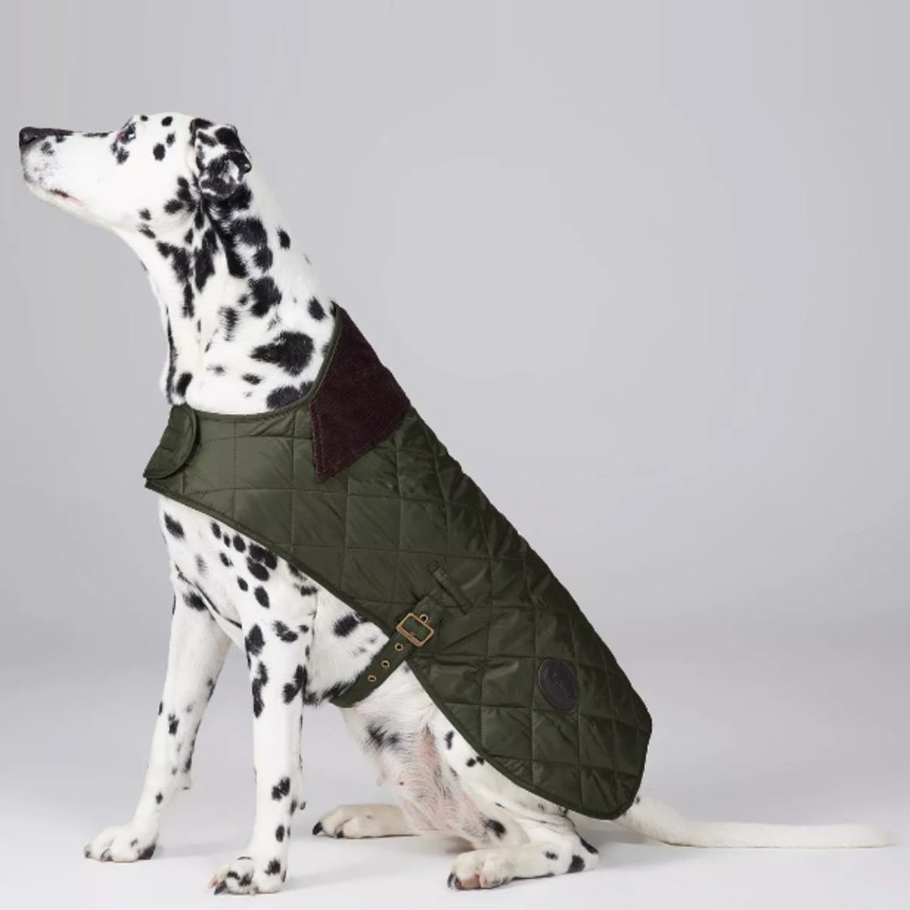 BARBOUR QUILTED DOG COAT in Olive MSRP$95 Great Holiday Gift!